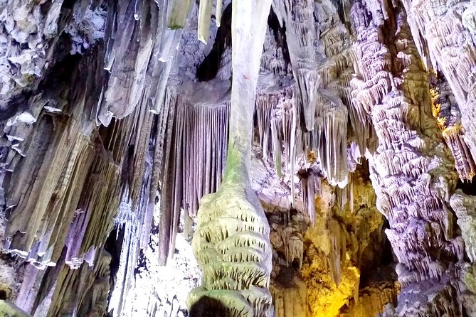 Gibraltar private tour from Marbella or Malaga - The 4-Hour Route: Marbella to the Upper Rock (What Your Time Really Does)