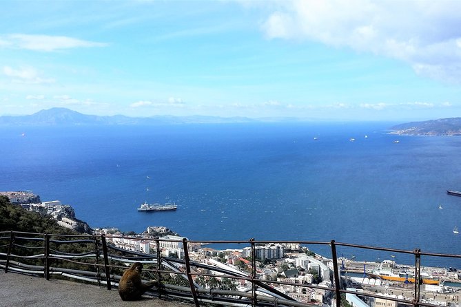 Gibraltar private trip from Marbella or Malaga - Great Siege Tunnels: defense history you can walk into