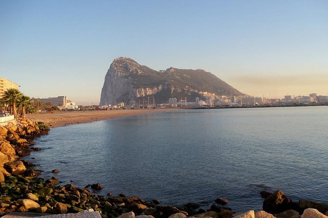 Gibraltar private trip from Marbella or Malaga - Apes Den and the Barbary macaque encounter
