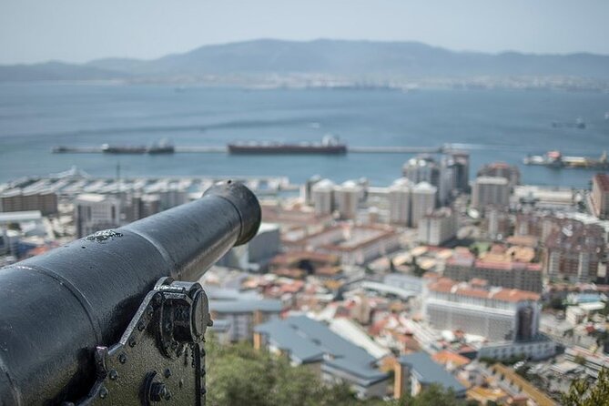 Gibraltar Small Group Tour from Malaga - Upper Rock Nature Reserve: apes, viewpoints, and quick orientation