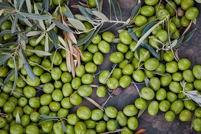 Gourmet Cooking Class & Culture in the rural Montes de Malaga. - Tapas, Olive Oil, Sherry, and Wine Sampling