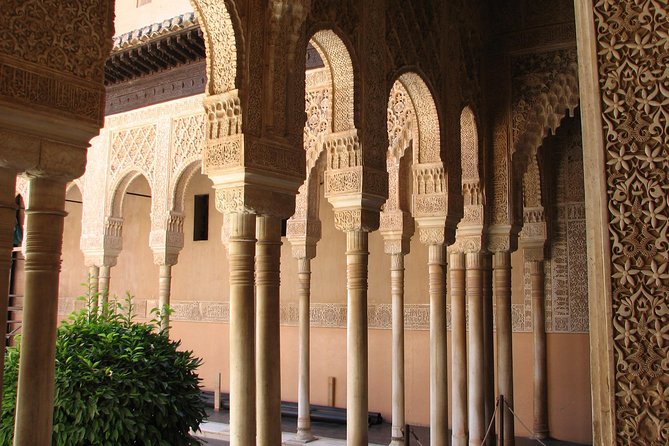Granada Full Day Tour From Malaga - Who the guides are: what you should look for on tour day