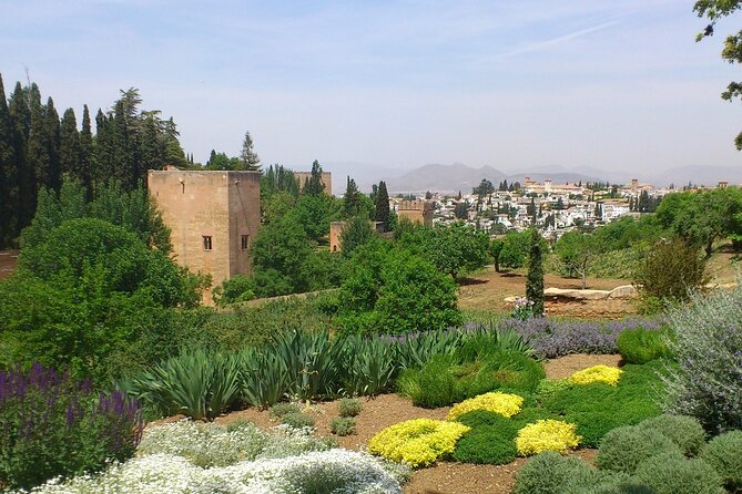 Granada Full Day Tour From Malaga - Value check: is this $126 day worth it?