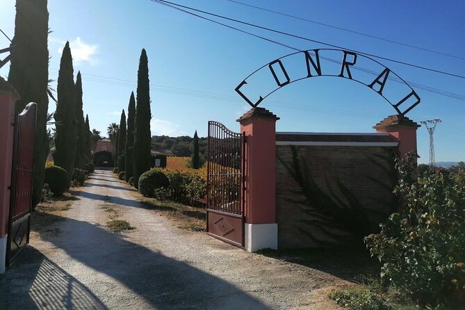 Guided Cellar Tour and wine tasting - Key highlights worth planning for