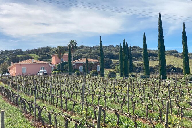 Guided Cellar Tour and wine tasting - The Swiss retirement project and Feng Shui layout you’ll actually notice