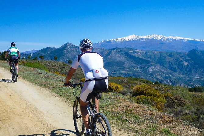 Guided Mountain Bike Adventure - Key Highlights You Should Care About