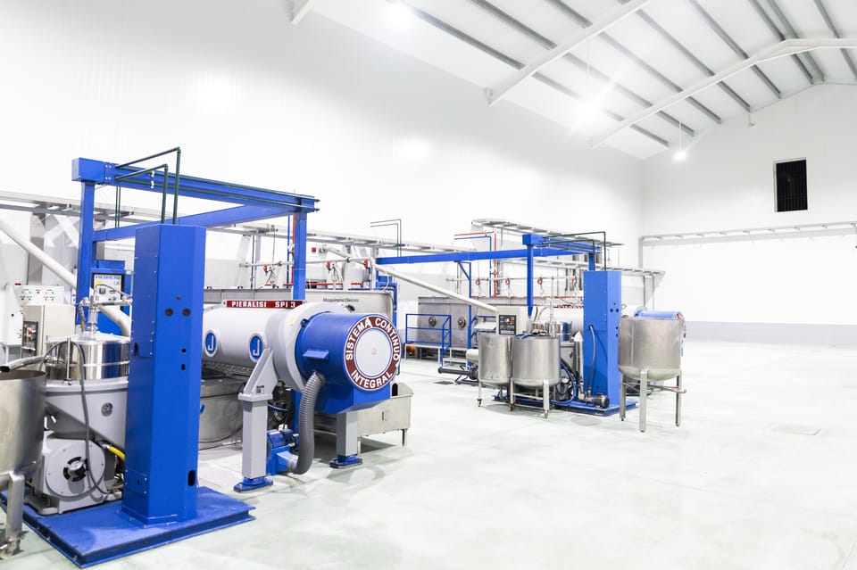 Guided tour and oil tasting at the Aceites Molisur factory - Why Aceites Molisur feels like a working olive oil mill