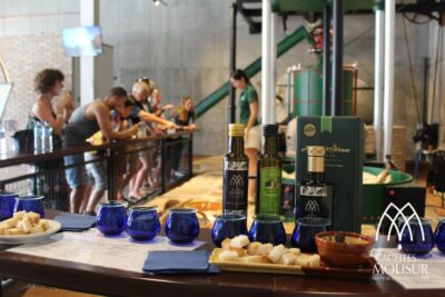 Guided tour and oil tasting at the Aceites Molisur factory - Where the tour starts: meeting at the Aceites Molisur shop