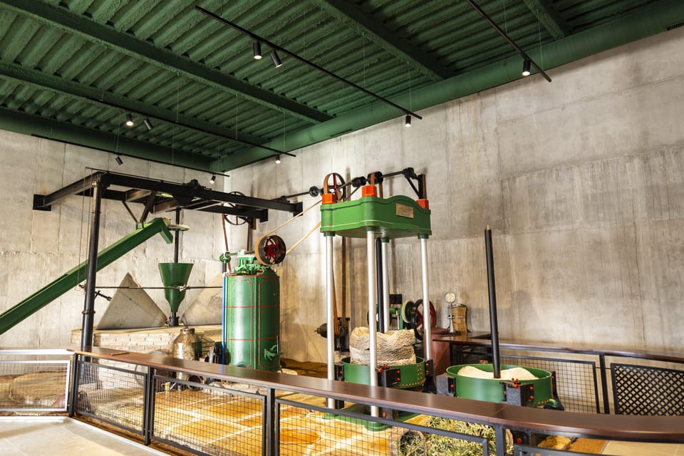 Guided tour and oil tasting at the Aceites Molisur factory - Nature setting: what to wear and how to keep it comfortable