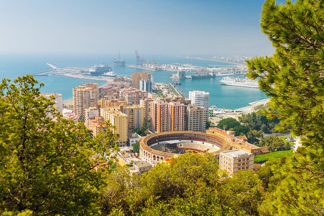 Half-Day Private Taxi Tour to Malaga Historic Center - Quick hits: what makes this tour work