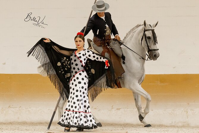 Horse and Flamenco Show in Malaga with Dinner - Quick hits