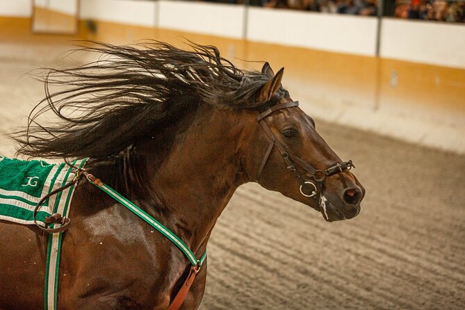 Horse and Flamenco Show in Malaga with Dinner - Dinner at the Andalusian restaurant (20:10–21:15): what’s included and what to expect