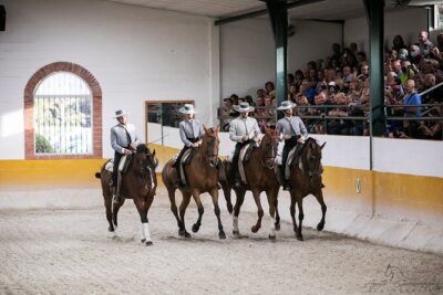 Horse and Flamenco Show in Malaga with Dinner - The transfer to dinner: keep an eye on the shuttle detail