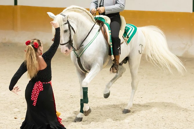 Horse and Flamenco Show in Malaga with Dinner - Price and value for a 5-hour evening in Malaga