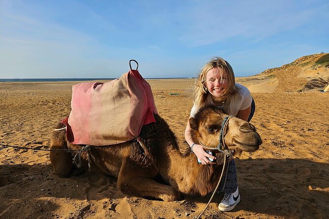 Luxury Malaga to Tangier Day Trip: Transfer, ferry, camel & Souks - Malaga to Tangier: why this day trip works