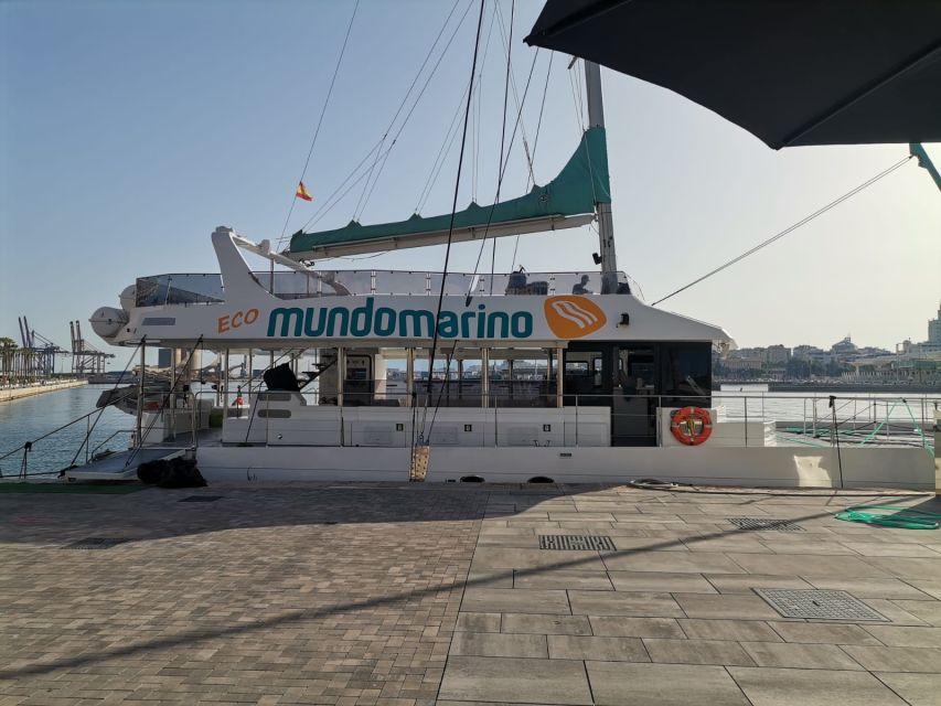 Malaga: A Sea of Stars Nighttime Stargazing Catamaran Tour - Cava, Live Music, and the On-Board Bar for the Ride Back