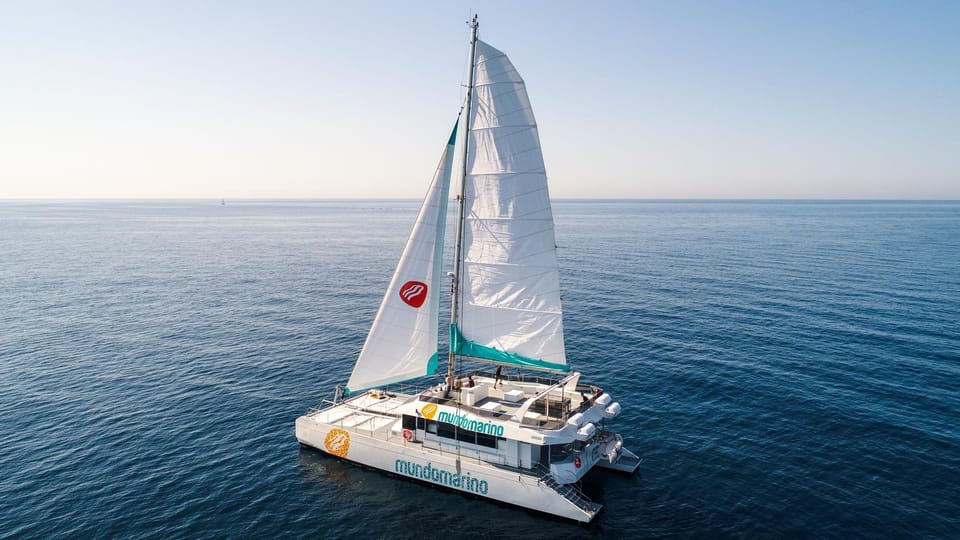 Malaga: A Sea of Stars Nighttime Stargazing Catamaran Tour - FAQ