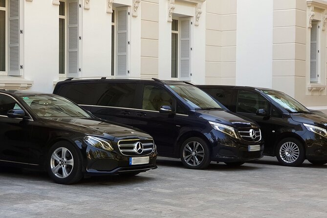 Malaga Airport (Costa del Sol) Private Arrival Transfer - Key Things to Know Before You Book
