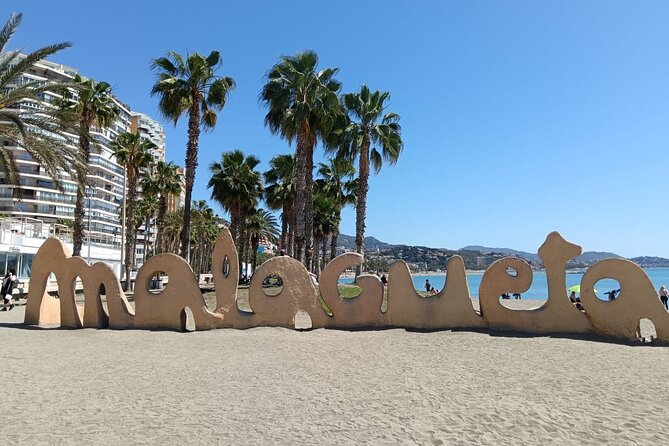Malaga Bike Tour - Wine & Tapas - Pedaling to Picasso’s World: More Than a Museum Door