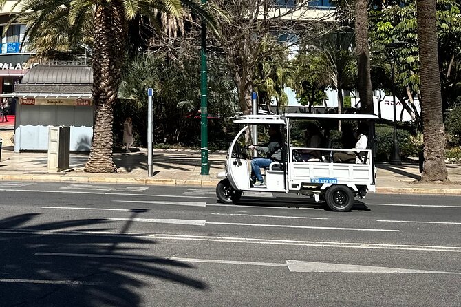 Malaga by Tuk Tuk i : 1 or 2 hours Private city tour - Why Malaga by Tuk Tuk i Works When Time Is Tight