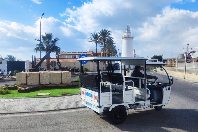 Malaga by Tuk Tuk i : 1 or 2 hours Private city tour - Price and Value: Is $34.39 a Smart Spend?
