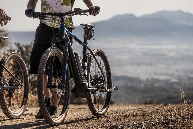 Malaga E-MTB Tour: Botanical Garden, Natural Park and Port of Malaga - Malaga by E-MTB: Why This 3-Hour Format Works