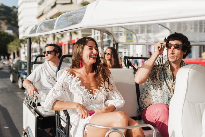 Malaga Expert Tour with Local Guide in Eco Tuk Tuk Private - Eco tuk-tuk beats walking when your schedule is tight