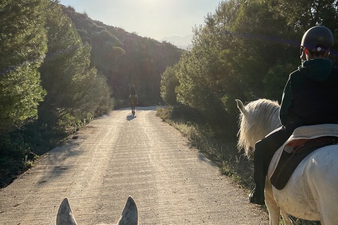 Malaga - guided horseback riding - Key highlights you’ll feel right away
