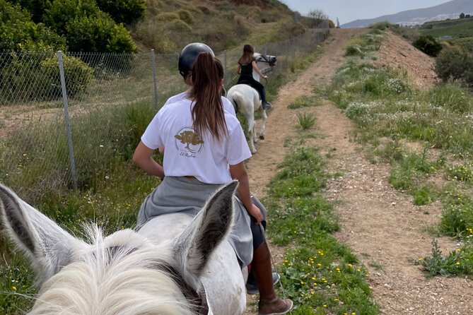 Malaga - guided horseback riding - Language and guide communication: plan for it