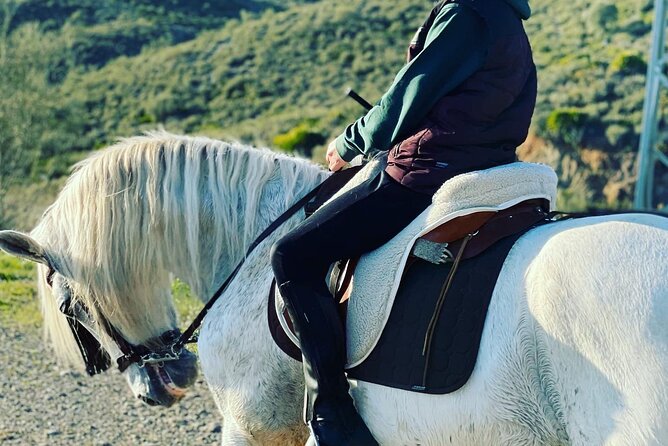 Malaga - guided horseback riding - Price and value: is $45.66 for one hour fair?