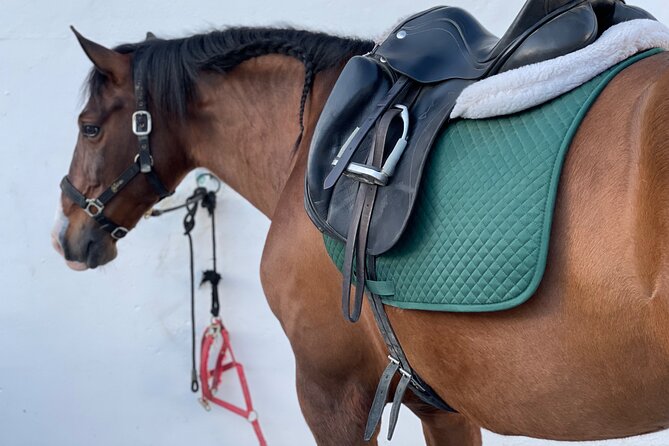 Malaga - guided horseback riding - Who should book this horseback ride?