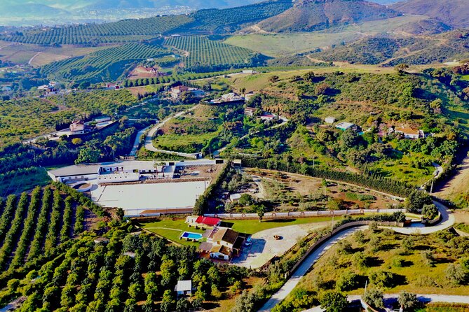 Malaga - guided horseback riding - Weather matters more than you think