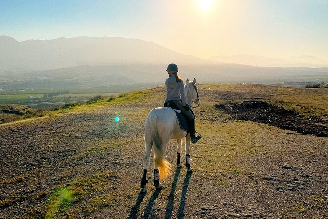 Malaga - guided horseback riding - The pace and coaching style: perfect for calm riders, not for thrill seekers