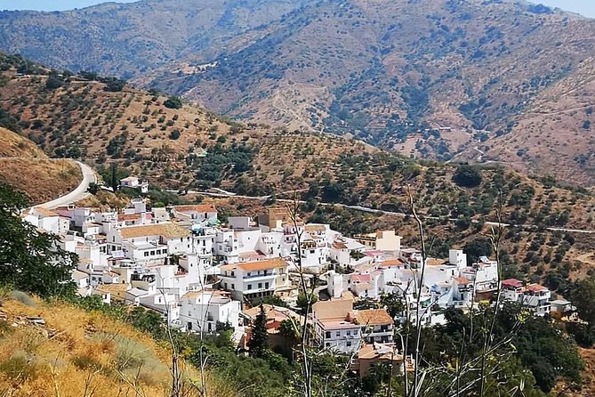 Malaga Highest Peak E-Bike Tour: White Village Olias and El Palo - Malaga Montes and the old Mediterranean pine forest: the part you’ll remember