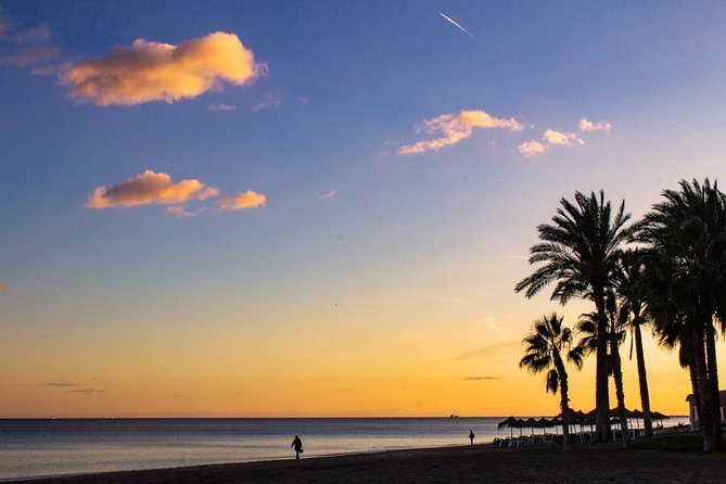 Malaga Highlights, Old Town & Viewpoints Walking Tour - Puerto de Málaga: the renewed port and why it matters