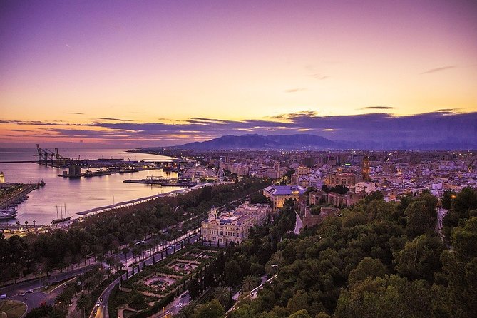Malaga Highlights, Old Town & Viewpoints Walking Tour - Malaga Cathedral: the city nickname and what to look for