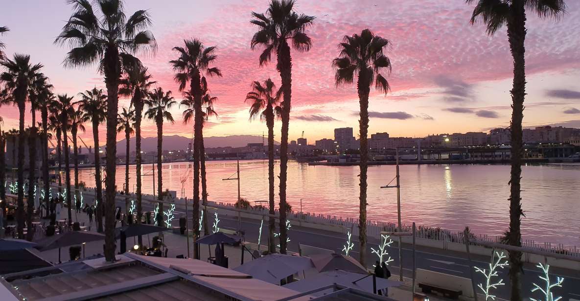 Malaga: Private Bike Rental - The port and La Malagueta beach ride: quick, scenic, and easy to fit in