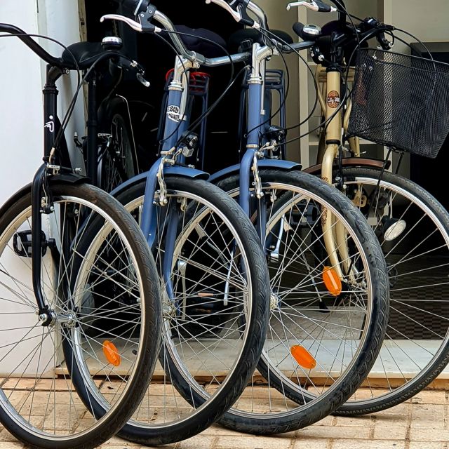 Malaga: Private Bike Rental - What the 9 hours usually looks like (a practical loop you can copy)