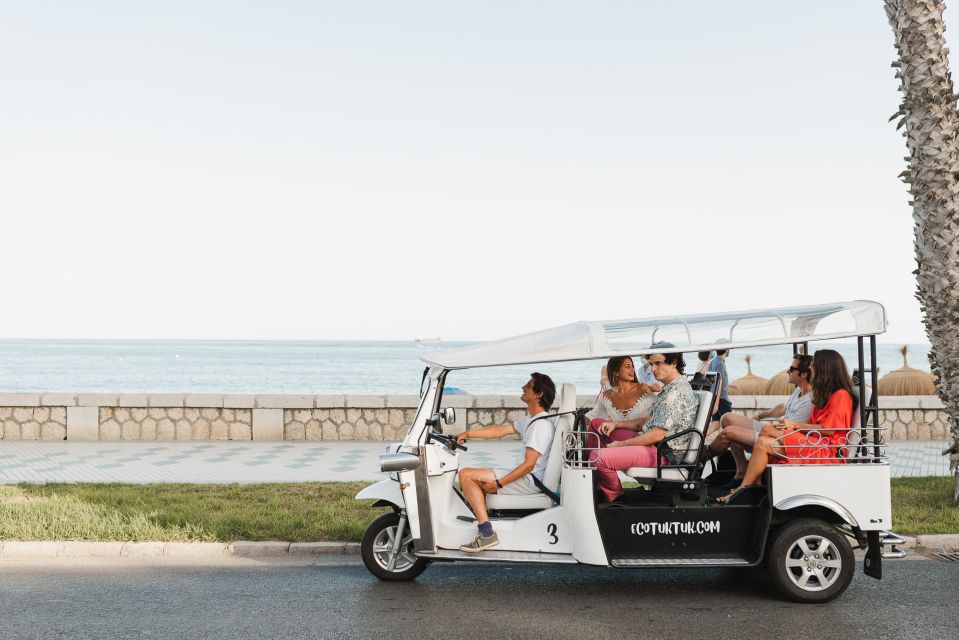 Malaga: Private City Tour by Eco Tuk Tuk - Why an eco tuk tuk tour is a smart way to start Malaga
