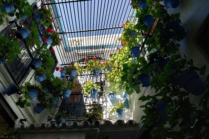 MALAGA PRIVATE TOUR - by OhMyGoodGuide - A Private Malaga Walk That Gets You Sorted in 2 Hours