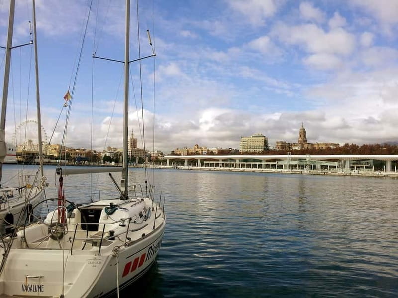 Malaga: Private Walking Tour with Official Guide - Pick Your Malaga Story: Old Town, Nature, Museums, or the Port