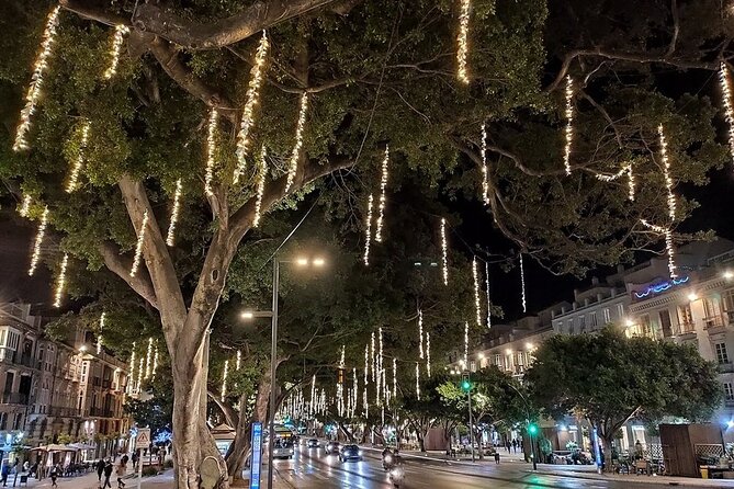 Málaga Sunset & Night Tour by Electric Car - Why An Electric-Car Sunset Tour Makes Sense in Malaga