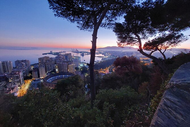 Málaga Sunset & Night Tour by Electric Car - Fishing Neighborhoods and the Taste-Of-Malaga Feeling
