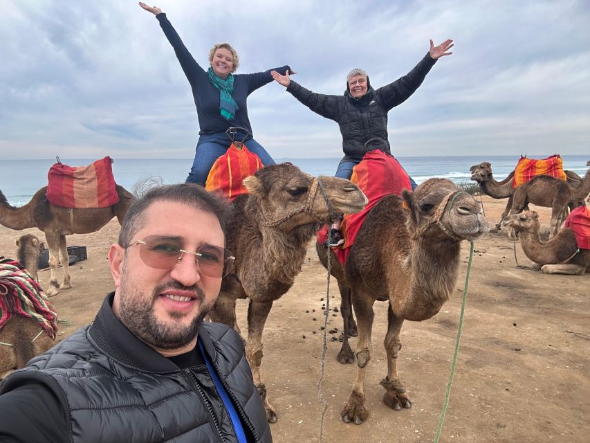 Malaga to Tangier: Exclusive Day Trip with Ferry Ticket - Who this tour fits (and who might prefer a slower plan)