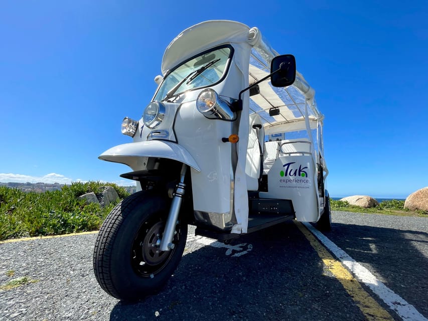Malaga: VIP private Tuk Tuk tour - Price and value: $147 per group up to 4 for 2 hours