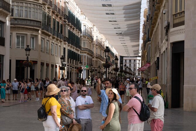 Malaga Walking Tour, Roman Theatre and Alcazaba with Tickets Included - The opening walk: La Calle Larios and Malaga’s city rhythm