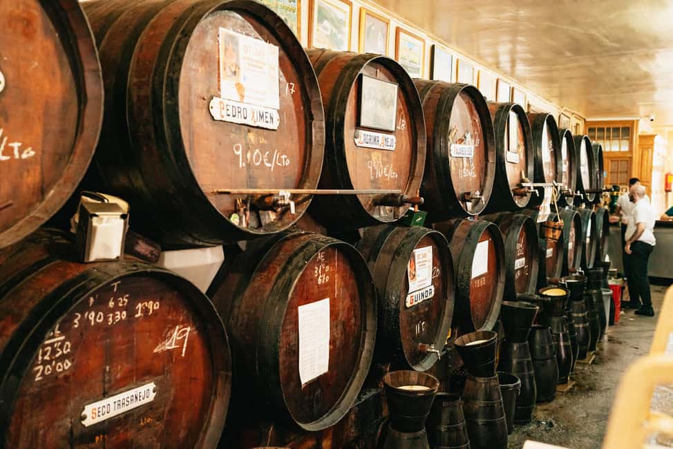 Malaga's tradition and tapas tour with Official Guide - Drinks, Tapas, and Taste Timing: Why the Amount Feels Right