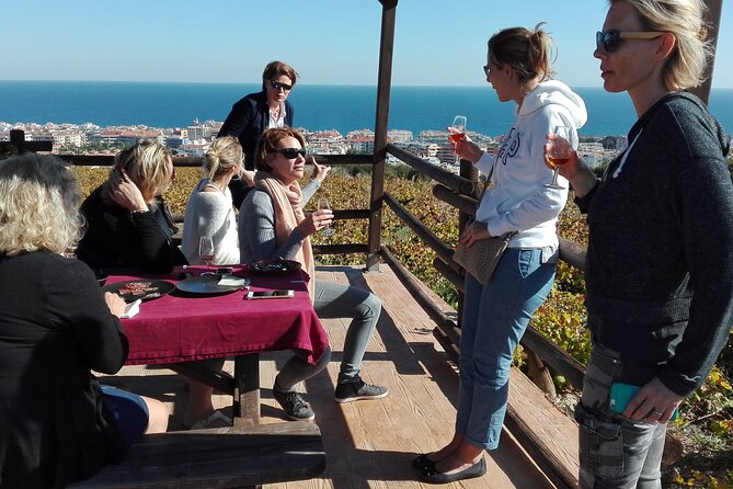 Manilva Oceanfront Wine Experience in the Marbella Area - Key highlights worth showing up for