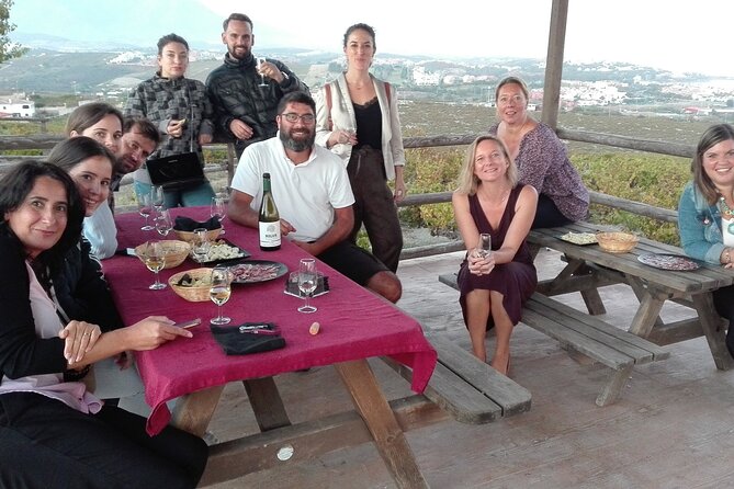 Manilva Oceanfront Wine Experience in the Marbella Area - Peñoncillo vineyard stop: the views, the organic practices, and the weather check