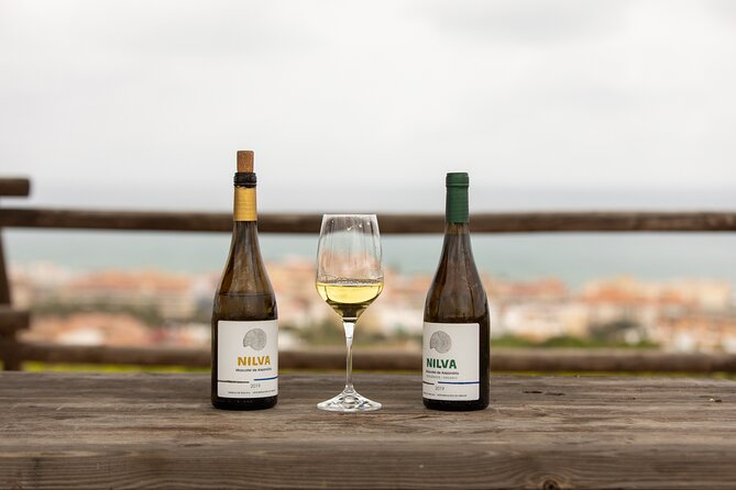 Manilva Oceanfront Wine Experience in the Marbella Area - Price and logistics: value depends on timing and transportation